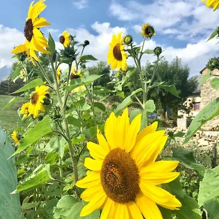 Chalet D'hotes Bed & Breakfast